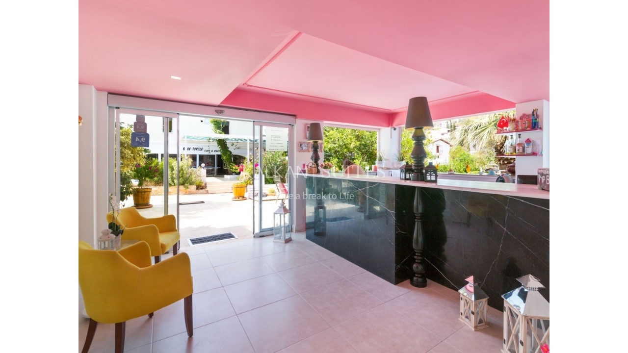 Suites 202 894